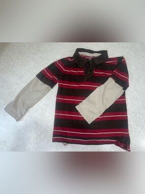 Striped Long Sleeve Polo in Burgundy and Brown
